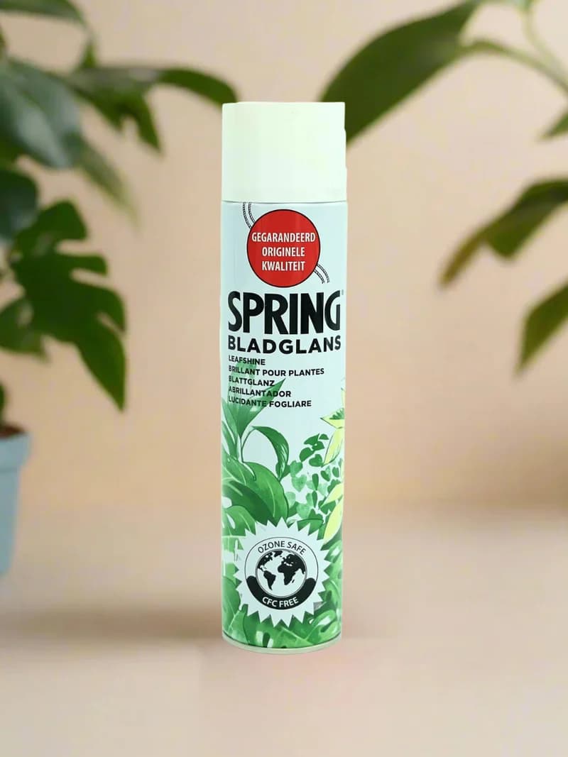 Spring Bladglans