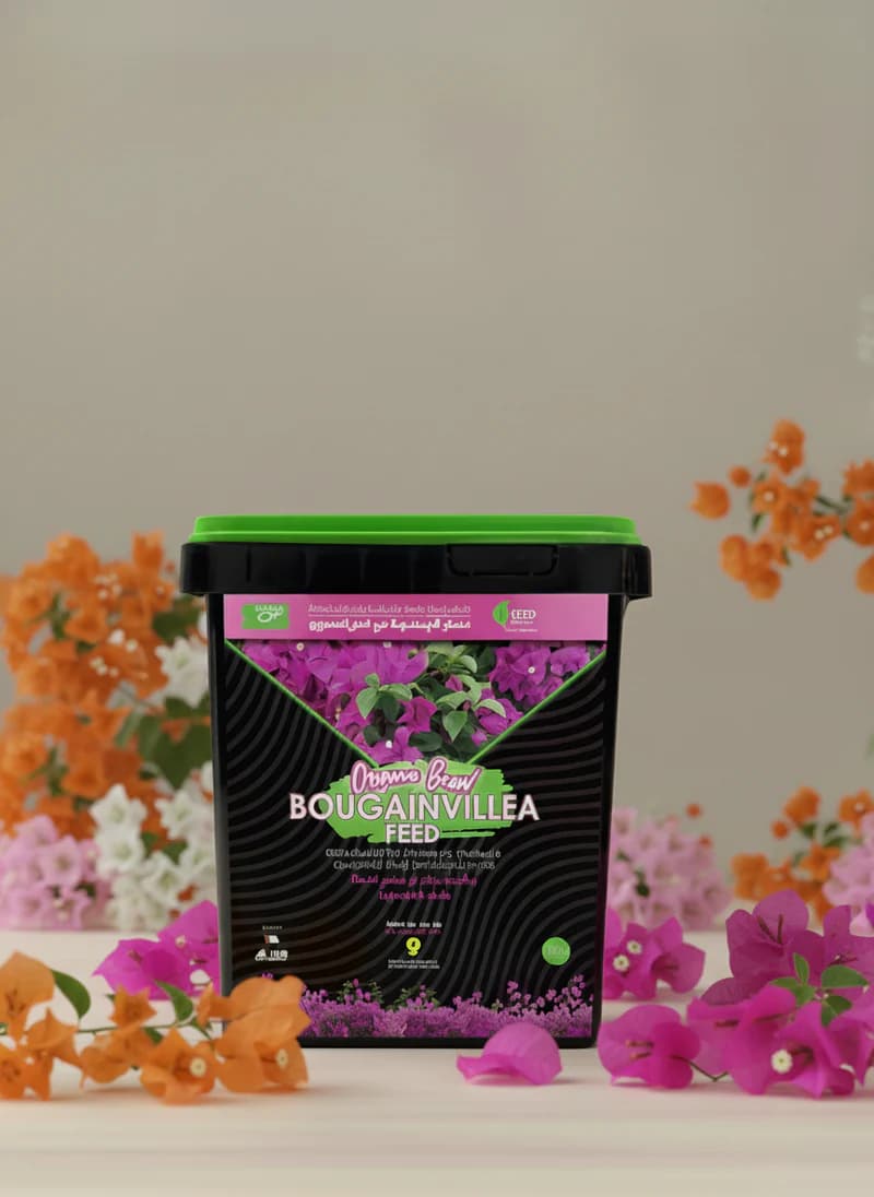Bougainvillea Feed
