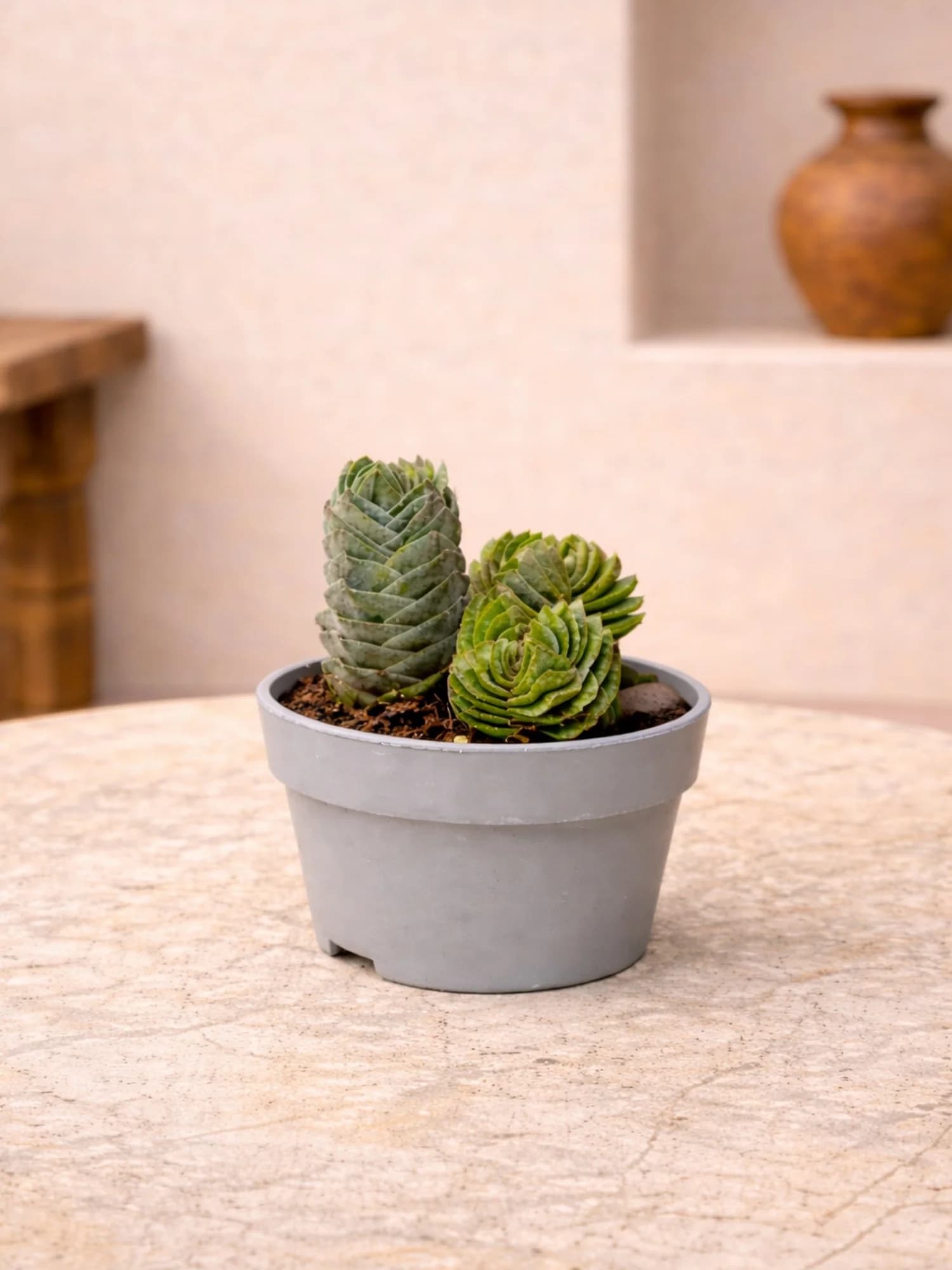 Buddha's Temple