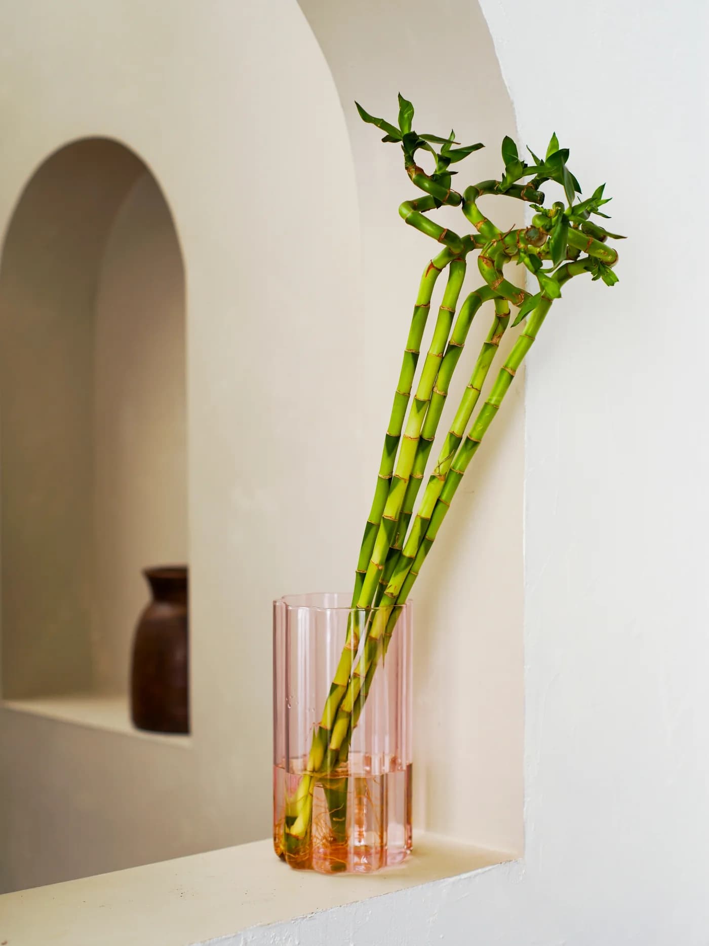 Lucky Bamboo Stick